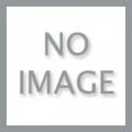 MARO-7778 / SPICE / VERTICAL FLORAL STPE